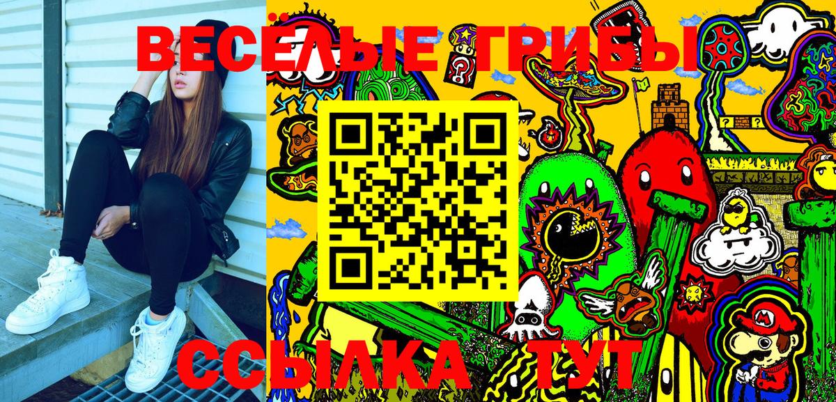 Псилоцибиновые грибы Psilocybe Люберцы
